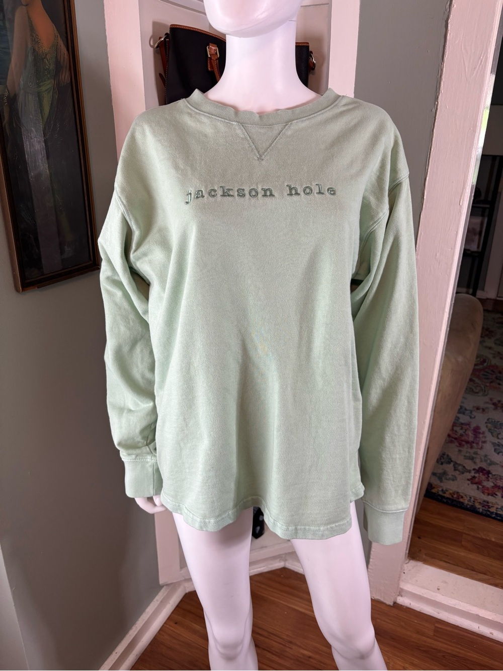 Jackson Hole Wyoming French Terry Sweatshirt Large L Pale Mint Green